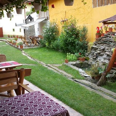 Casa Andra Otel Cîrţişoara Dış mekan fotoğraf